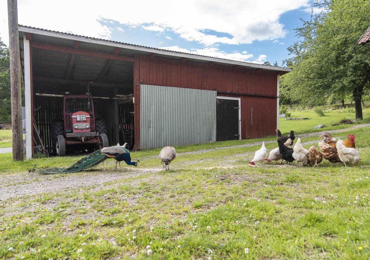 18Th Century Farm Cottage Valdemarsvik Bagian luar foto