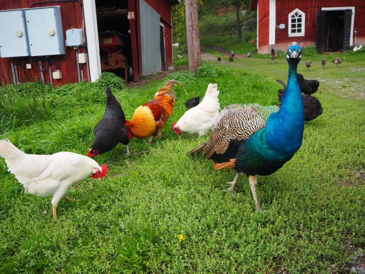 18Th Century Farm Cottage Valdemarsvik Bagian luar foto
